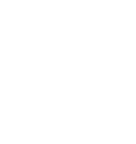 btphp payment licensee